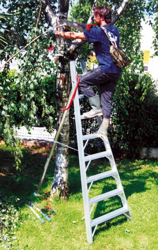 Scala professionale in alluminio uso agricolo 1969